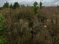 Appartement à louer à LUXEMBOURG-LIMPERTSBERG, LU.