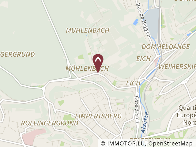 Résidence à vendre à LUXEMBOURG-MUHLENBACH